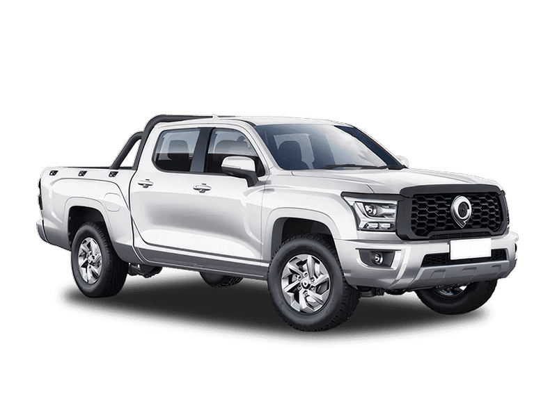 Купить Great Wall Poer King Kong в Екатеринбурге - Снежный белый